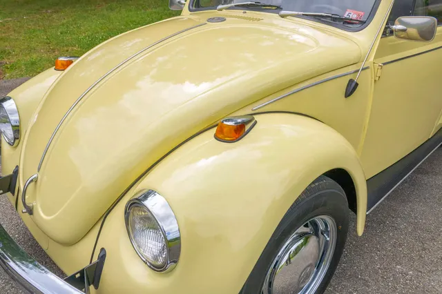 1969 Volkswagen Beetle — hood and front fender