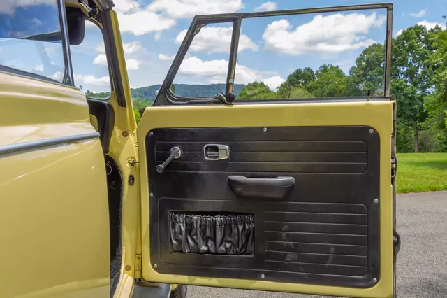 1969 Volkswagen Beetle — door panel and window