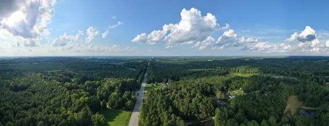Panorama showing the road and surrounding woodland
