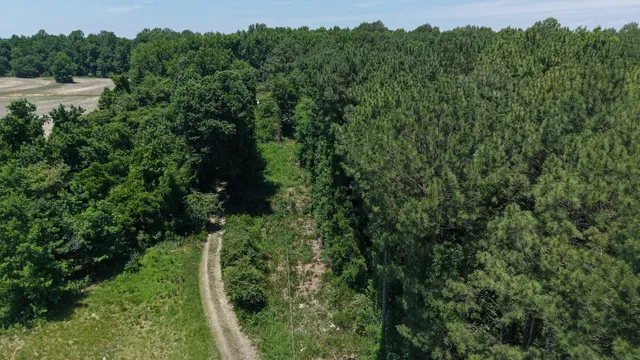 Aerial view along a wooded access route