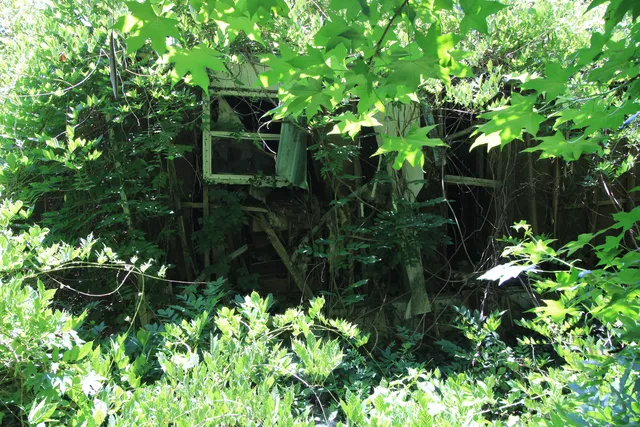 Existing trailer among vegetation