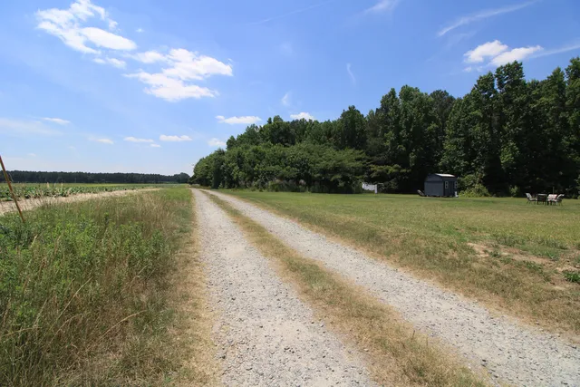 Ground view along an access road