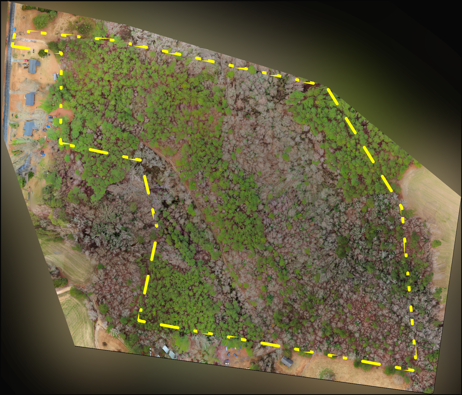 Love Grove Ortho Fade